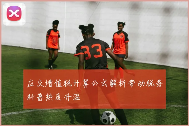 应交增值税计算公式解析带动税务科普热度升温