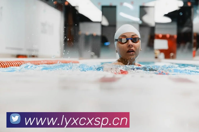 熊猫体育在线登录入口平台生态图