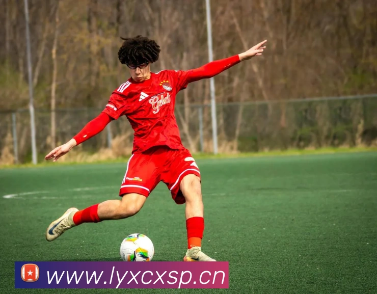 熊猫体育在线登录入口APP 封面图